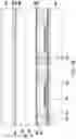 Fig. 29 - Integrated antenna package structure and manufacturing method thereof
