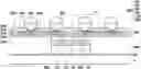 Fig. 01 - Integrated fan-out package and manufacturing method thereof