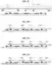 Fig. 06 - Display apparatus and manufacturing method thereof