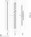 Fig. 14 - Integrated circuit