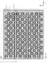 Fig. 02 - Array of pillars located in a uniform pattern