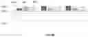 Fig. 68 - Micro device integration into system substrate