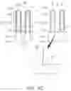 Fig. 09 - Semiconductor devices and methods of manufacturing the same