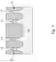 Fig. 04 - Semiconductor structures and methods with high mobility and high energy bandgap materials
