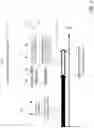 Fig. 02 - Photodetector structures formed on high-index substrates