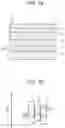 Fig. 02 - LIGHT EMITTING DEVICE AND ILLUMINATION DEVICE