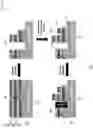 Fig. 07 - Systems and methods for qubit fabrication