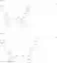 Fig. 26 - Organic electroluminescence device