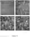 Fig. 20 - Organic solar cell and photodetector materials and devices