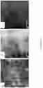 Fig. 21 - Organic solar cell and photodetector materials and devices