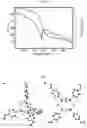 Fig. 09 - MOLECULAR WHITE-LIGHT EMITTER