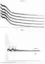 Fig. 15 - MOLECULAR WHITE-LIGHT EMITTER
