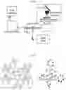 Fig. 19 - MOLECULAR WHITE-LIGHT EMITTER