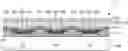 Fig. 01 - Organic light-emitting display apparatus and method of manufacturing the same