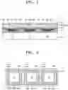 Fig. 02 - Organic light-emitting display apparatus and method of manufacturing the same
