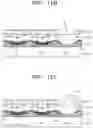 Fig. 14 - Organic light-emitting display apparatus and method of manufacturing the same