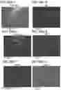 Fig. 53 - Positive Electrode Active Material, Method for Manufacturing Positive Electrode Active Material, and Secondary Battery