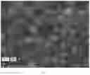 Fig. 07 - Coating on nickelate cathode materials