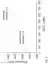 Fig. 09 - Solid electrolyte material and battery