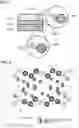 Fig. 02 - Solid electrolyte material and battery