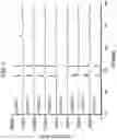 Fig. 05 - Solid electrolyte material and battery