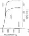 Fig. 05 - Solid electrolyte material and battery