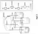 Fig. 06 - Anionic polymers, electrolytes comprising the same, and methods of manufacture thereof