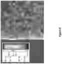 Fig. 07 - Anionic polymers, electrolytes comprising the same, and methods of manufacture thereof