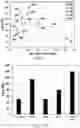 Fig. 03 - Localized high-salt-concentration electrolytes containing longer-sidechain glyme-based solvents and fluorinated diluents, and uses thereof