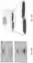 Fig. 35 - Electrical energy storage device and a method of preparing the same