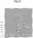 Fig. 14 - Filter