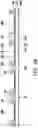 Fig. 07 - Integrated antenna package structure and manufacturing method thereof