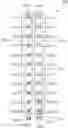 Fig. 01 - Base station antennas having arrays with frequency selective shared radiating elements