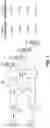 Fig. 07 - Multiplexed antennas that sector-split in a first band and operate as MIMO antennas in a second band