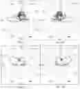 Fig. 06 - RF lens with doping medium