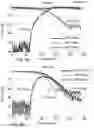 Fig. 15 - SURFACE WAVE POLARIZATION CONVERTER