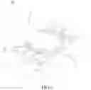 Fig. 02 - Connector