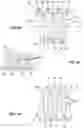 Fig. 05 - Electrical contact element comprising a carrier strip and a plurality of contact parts