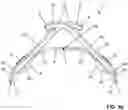 Fig. 07 - Electrical contact element comprising a carrier strip and a plurality of contact parts