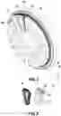 Fig. 02 - Stator for an electromagnetic motor or generator with individual windings support snap-fitted to an associated tooth