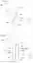 Fig. 16 - ARMATURE AND METHOD OF MANUFACTURING ARMATURE