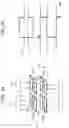 Fig. 04 - Wireless communication apparatus, wireless communication system, and communication method
