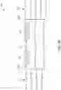 Fig. 33 - Satellite for end to end beamforming