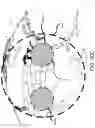 Fig. 61 - Satellite for end to end beamforming
