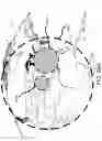 Fig. 77 - Satellite for end to end beamforming