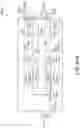 Fig. 81 - Satellite for end to end beamforming