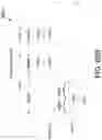 Fig. 89 - Satellite for end to end beamforming