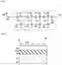 Fig. 02 - Acoustic wave device, multiplexer, high-frequency front end circuit, and communication device