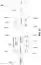Fig. 09 - TRANSPORT BLOCK DECODING OPERATION FOR HYBRID TRANSMISSION TIME INTERVAL (TTI) LENGTHS IN WIRELESS COMMUNICATION SYSTEMS