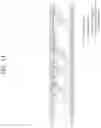 Fig. 14 - Method whereby terminal transmits ACK/NACK in wireless communication system, and device therefor